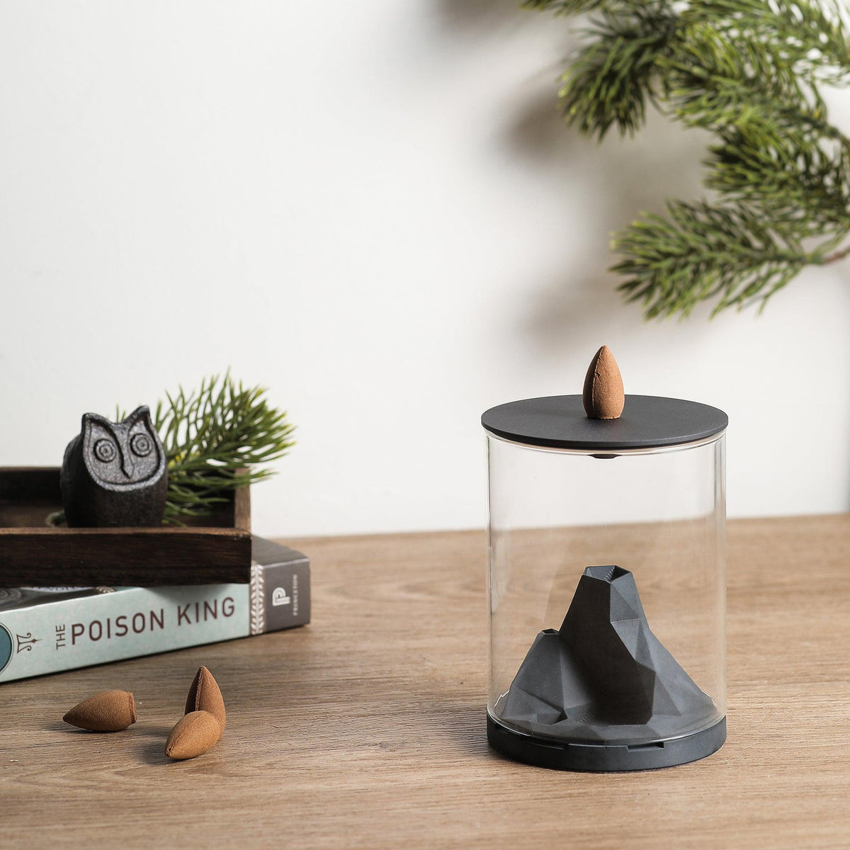 Caldera Terrarium Backflow Incense Burner by Kin Objects placed next to books